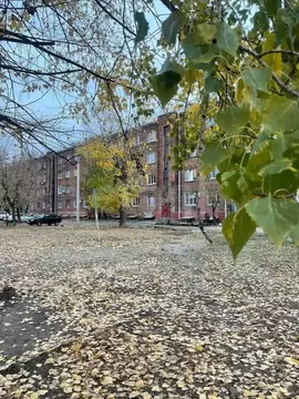 3-к кв. Воронежская область, Воронеж ул. Циолковского, 17 (76.3 м)