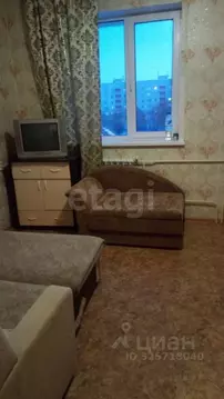 Студия Новосибирская область, Черепановский район, Дорогино рп ул. ...