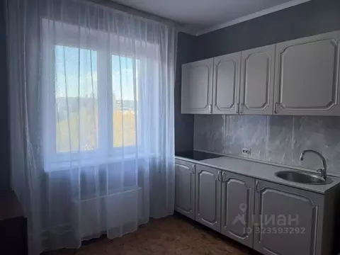 Студия Омская область, Омск ул. Алексея Полторацкого, 64/1 (33.2 м)