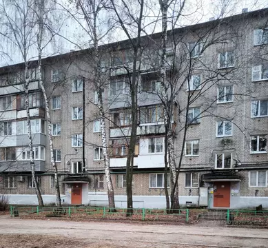 2-к кв. Пермский край, Пермь Рабоче-крестьянская ул., 28 (47.0 м)