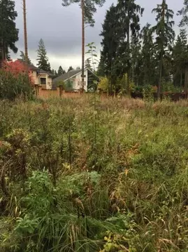 Продается коттедж в КП в КП Грибово