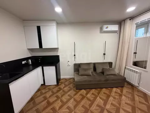 Студия Тюменская область, Тюмень Севастопольская ул., 2к4 (20.9 м)