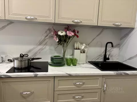 1-к кв. Санкт-Петербург наб. Черной речки, 5 (45.0 м)