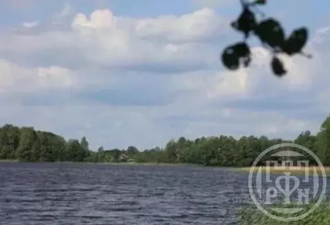 Участок в Ленинградская область, Лужский район, Володарское с/пос, ...