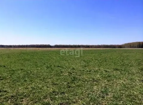 Участок в Волгоградская область, Городище рп ул. Имени Левитана, 17 ...