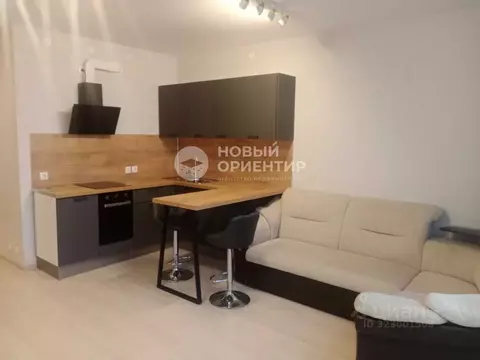 Студия Свердловская область, Екатеринбург ул. Очеретина, 16 (29.2 м)