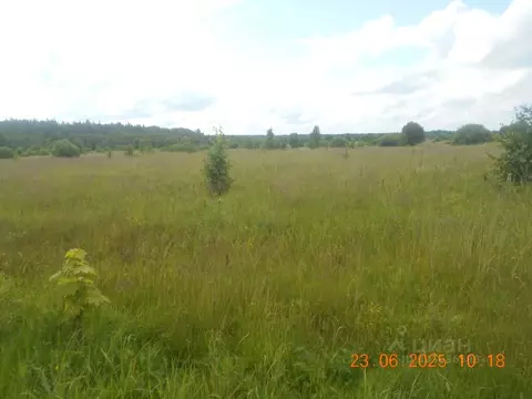 Участок в Московская область, Шаховская муниципальный округ, с. ...