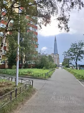 2-к кв. Санкт-Петербург Школьная ул., 128к1 (54.9 м)