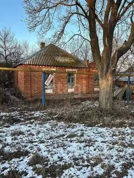 Дом в Белгородская область, Яковлевский муниципальный округ, с. Вислое ...