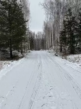 Дом в Новосибирская область, Новосибирский район, Морской сельсовет, ...
