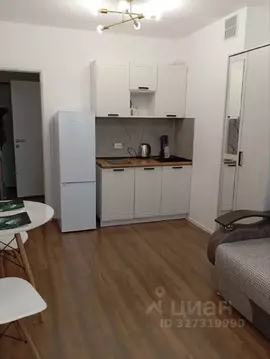 Студия Санкт-Петербург ул. Пейзажная, 24к2 (20.1 м)