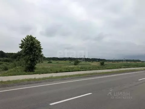 Участок в Калининградская область, Гурьевский муниципальный округ, ...