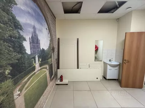 Помещение свободного назначения в Пермский край, Пермь Екатерининская ...