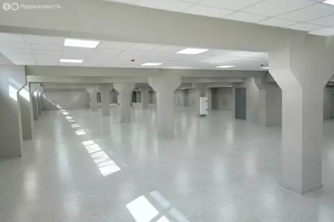 Помещение свободного назначения (97 м)