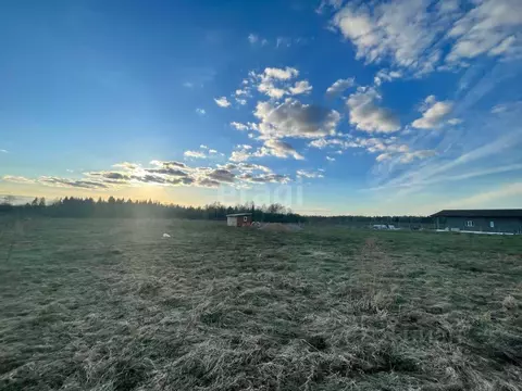 Участок в Костромская область, Красносельский район, Гридинское с/пос, ...