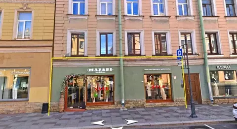 Помещение свободного назначения в Санкт-Петербург просп. Большой ...