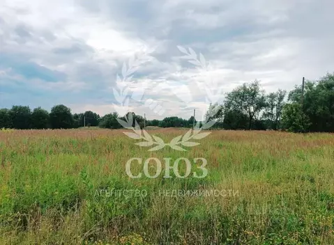 Участок в Калужская область, Ферзиковский район, Бронцы с/пос, д. ...