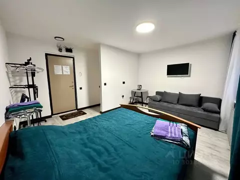 Студия Тюменская область, Тюмень ул. Мельникайте, 83 (23.0 м)