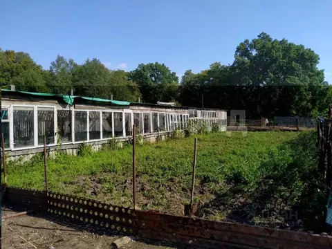 Участок в Калининградская область, Багратионовский муниципальный ...