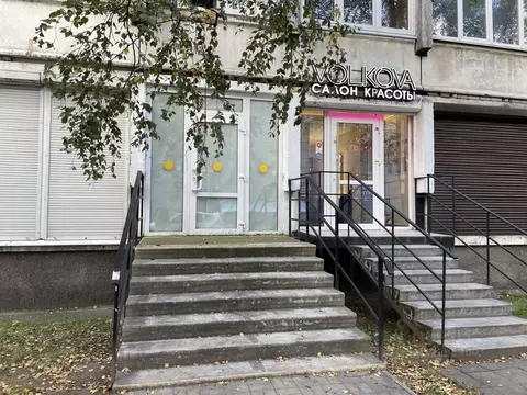 Помещение свободного назначения в Санкт-Петербург просп. Просвещения, ...