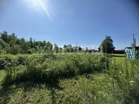 Участок в Томская область, Томский район, с. Калтай ул. Сосновая (15.0 ...