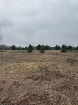 Участок в Московская область, Орехово-Зуевский городской округ, д. ...