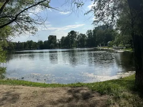 1-к кв. Московская область, Раменское Рабочая ул., 19 (33.0 м)