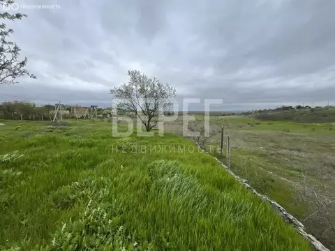 Участок в Бахчисарайский район, Каштановское сельское поселение, село ...