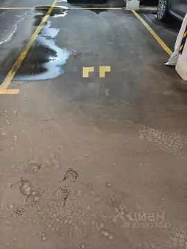 Гараж в Санкт-Петербург ул. Александра Матросова, 8к1 (13 м)