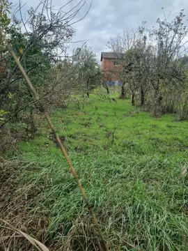 Участок в Адыгея, Тахтамукайский район, Старобжегокайское с/пос, Новая ...