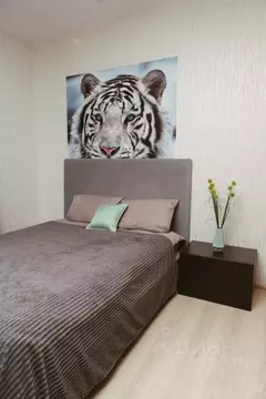 1-к кв. Пермский край, Пермь ул. Революции, 52Б (30.0 м)