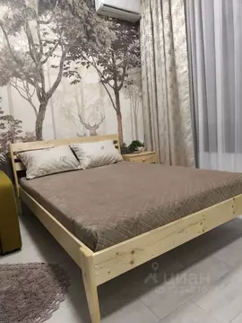 Студия Краснодарский край, Сочи Девятка СНТ, 68А (20.0 м)