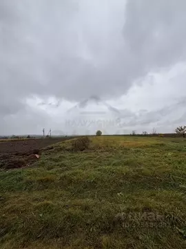 Участок в Калужская область, Ферзиковский муниципальный округ, Красный ...