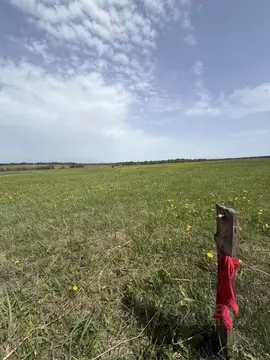 Участок в Татарстан, Лаишевский район, с. Пелево  (4.0 га.)
