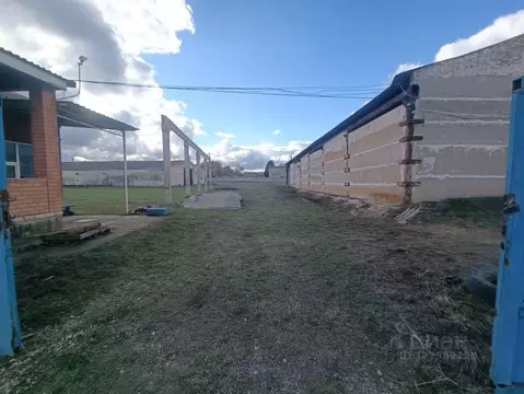 Склад в Ставропольский край, Ипатово Ленинградская ул., 4Б (3392 м)