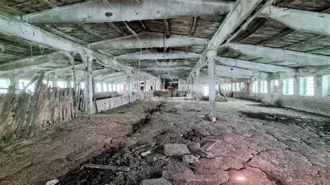 Помещение свободного назначения в Волгоградская область, Даниловка рп, ...