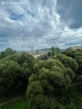 1-комнатная квартира: Златоуст, улица Степана Разина, 98 (30.6 м)