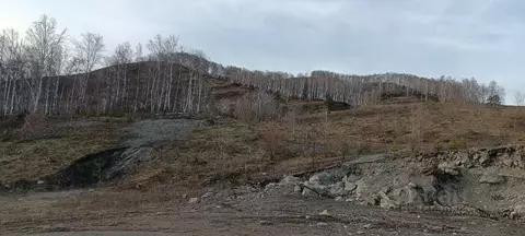 Участок в Алтайский край, Алтайский район, с. Нижнекаянча ул. ...