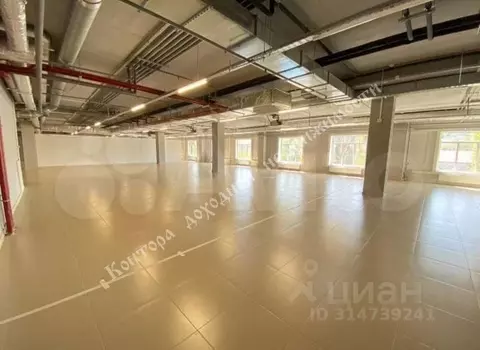 Торговая площадь в Ростовская область, Ростов-на-Дону просп. Сиверса, ...