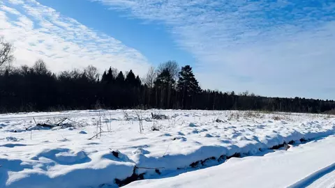 Участок в Московская область, Пушкинский городской округ, Софрино пгт ...