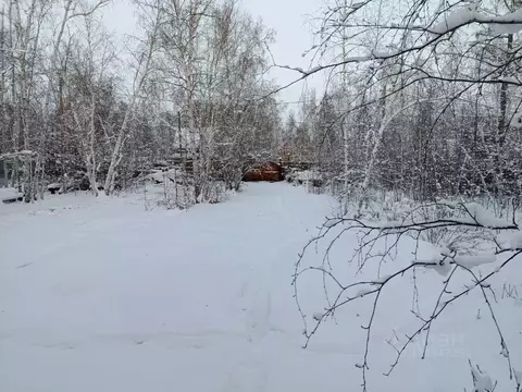 Дом в Саха (Якутия), Якутск городской округ, с. Маган  (30 м)