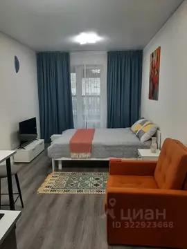 Студия Санкт-Петербург Дальневосточный просп., 23 (24.0 м)