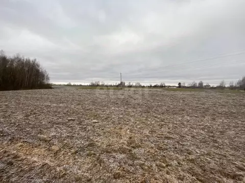 Участок в Костромская область, Костромской район, Шунгенское с/пос, с. ...