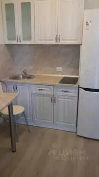 Студия Санкт-Петербург ул. Среднерогатская, 13к2 (30.0 м)