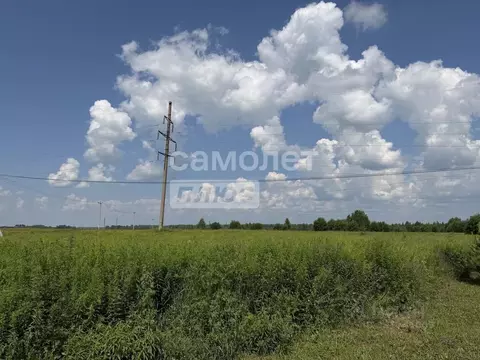 Участок в Брянская область, Брянский район, Отрадненское с/пос, д. ...