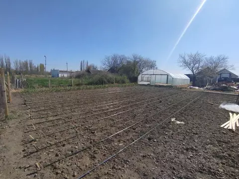 Участок в Крым, Кировский район, Абрикосовское с/пос, с. Бабенково ул. ...