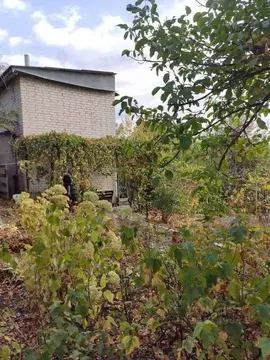 Дом в Белгородская область, Белгородский район, Тавровское с/пос, с. ...