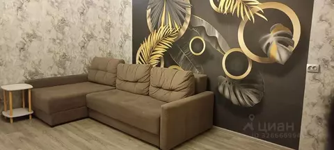 2-к кв. Нижегородская область, Дзержинск просп. Чкалова, 13А (47.0 м)