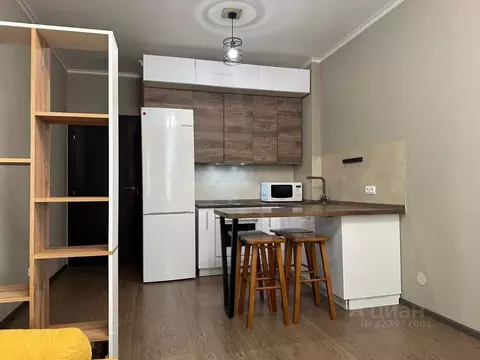 Студия Санкт-Петербург Комендантский просп., 62 (24.6 м)