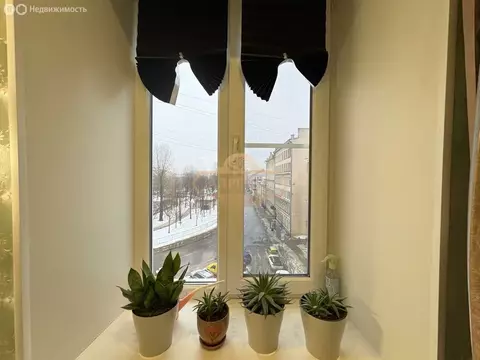 1к в 4-комнатной квартире (24.6 м)